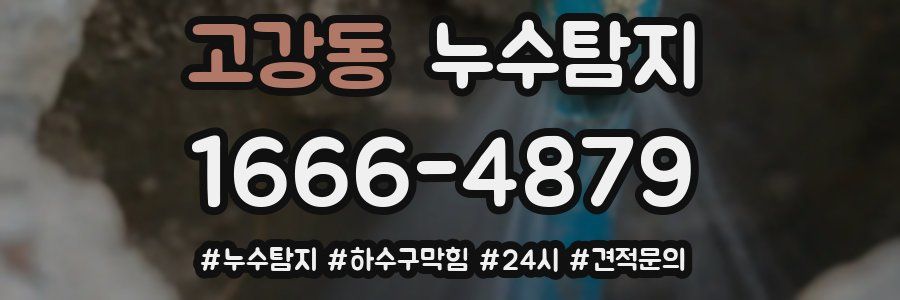 누수닥터 누수탐지