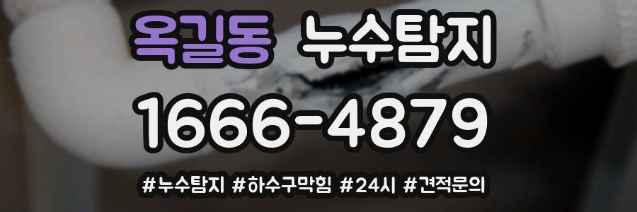 누수닥터 누수탐지