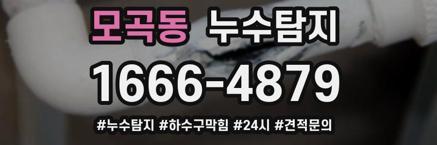 누수닥터 누수탐지