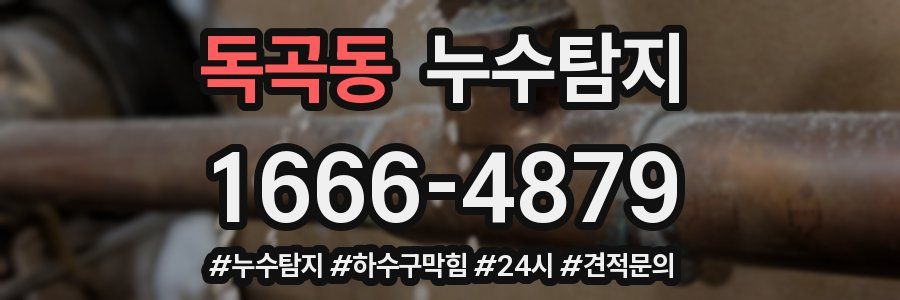 누수닥터 누수탐지