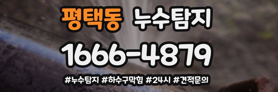 누수닥터 누수탐지