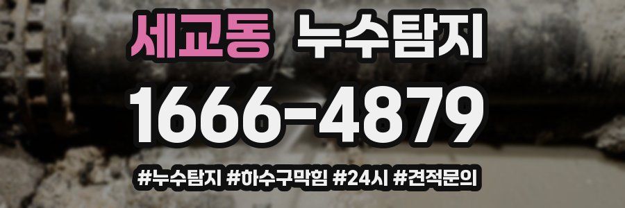 누수닥터 누수탐지