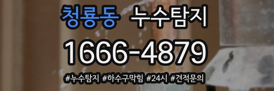 누수닥터 누수탐지