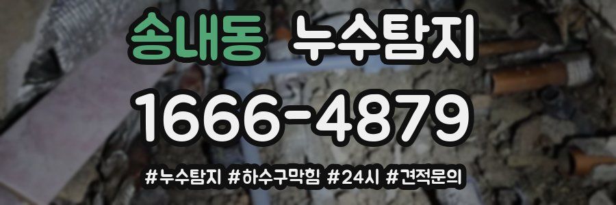 누수닥터 누수탐지