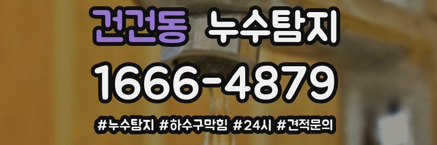 누수닥터 누수탐지