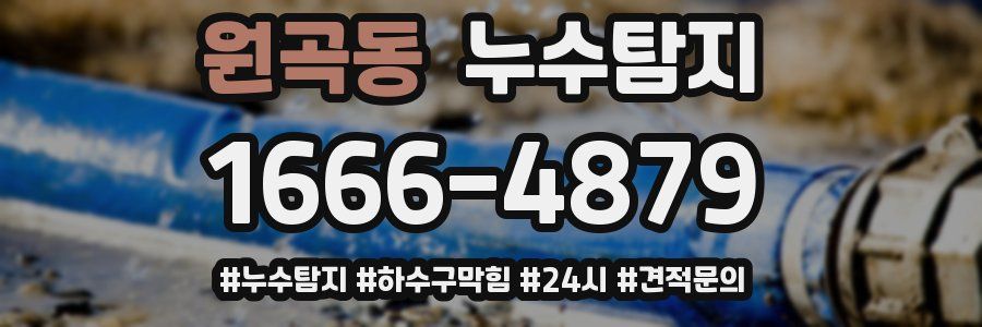 누수닥터 누수탐지