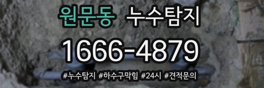누수닥터 누수탐지