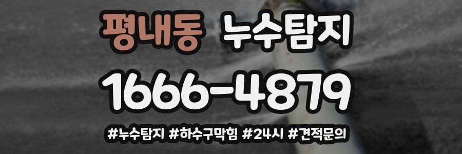 누수닥터 누수탐지