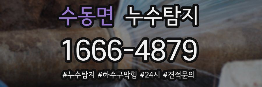 누수닥터 누수탐지