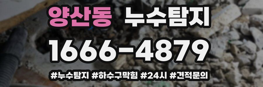 누수닥터 누수탐지