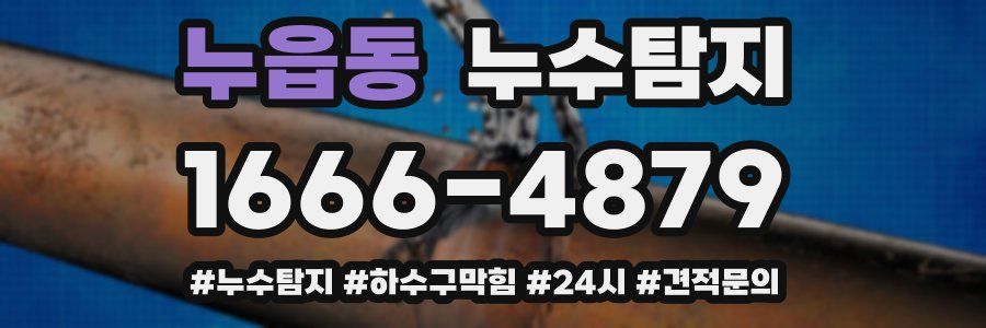 누수닥터 누수탐지