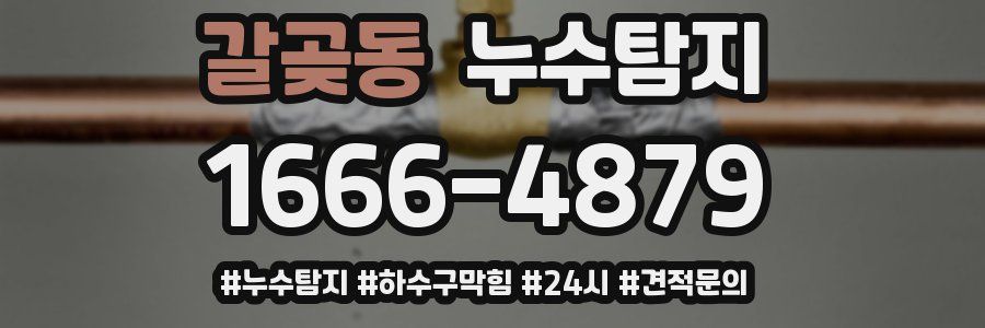 누수닥터 누수탐지