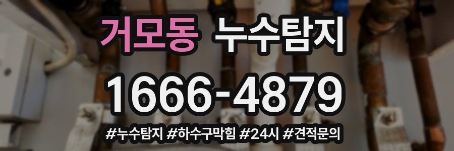 누수닥터 누수탐지