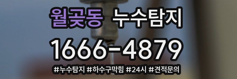 누수닥터 누수탐지