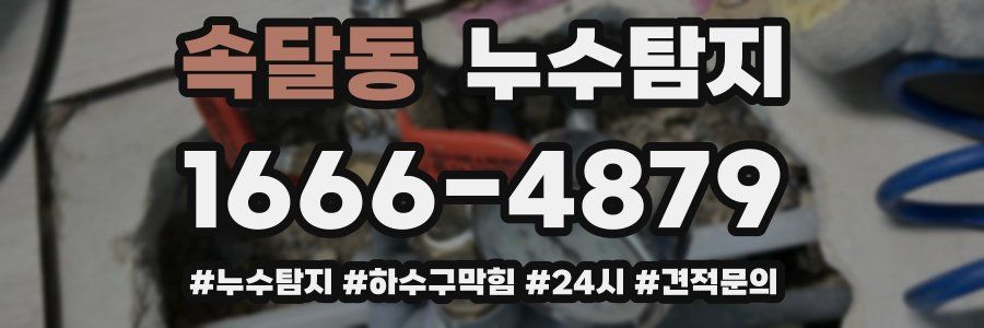 누수닥터 누수탐지