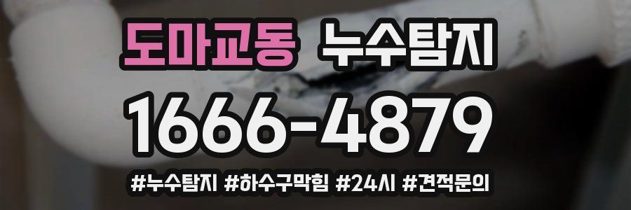 누수닥터 누수탐지