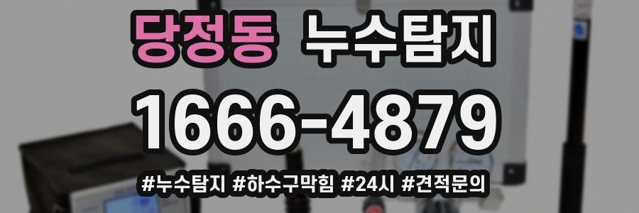 누수닥터 누수탐지