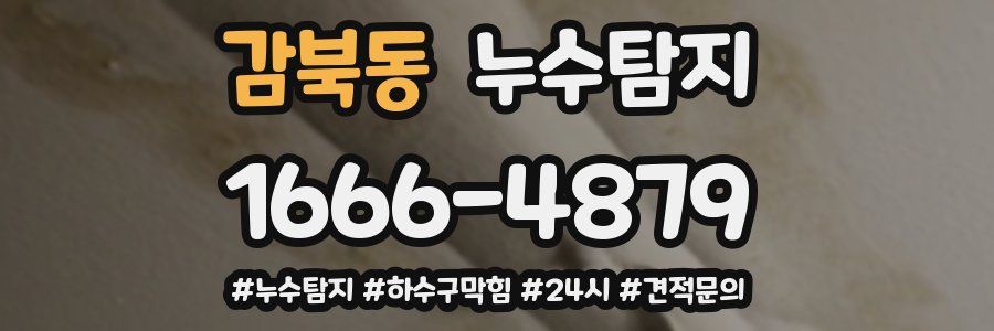 누수닥터 누수탐지