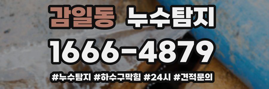 누수닥터 누수탐지