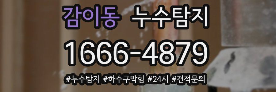 누수닥터 누수탐지