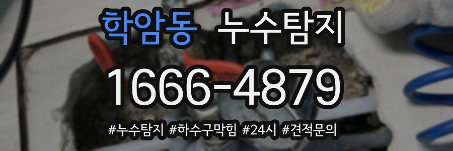 누수닥터 누수탐지