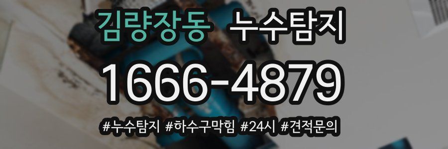 누수닥터 누수탐지