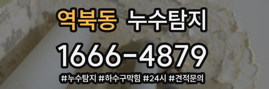 누수닥터 누수탐지