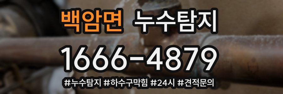 누수닥터 누수탐지