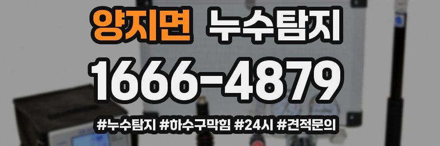 누수닥터 누수탐지