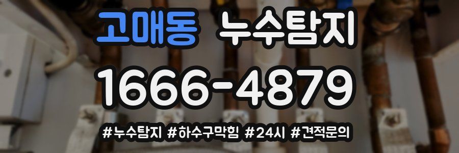 누수닥터 누수탐지