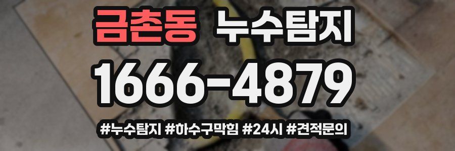 누수닥터 누수탐지