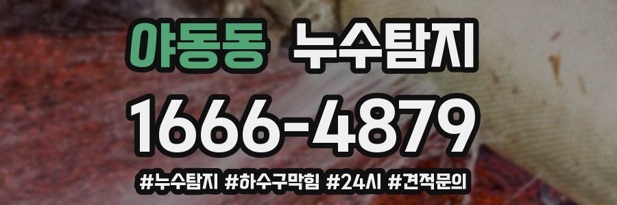 누수닥터 누수탐지