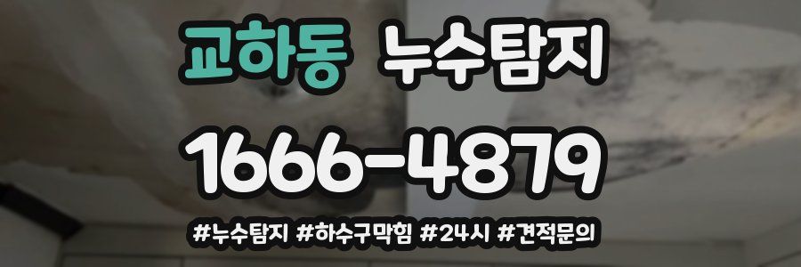 누수닥터 누수탐지
