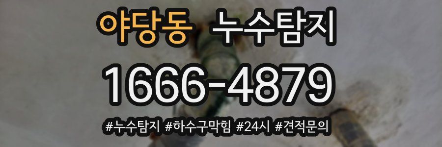 누수닥터 누수탐지
