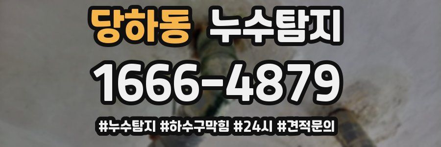 누수닥터 누수탐지