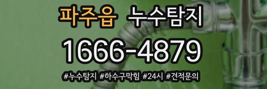누수닥터 누수탐지