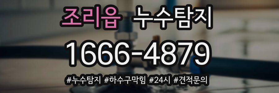 누수닥터 누수탐지