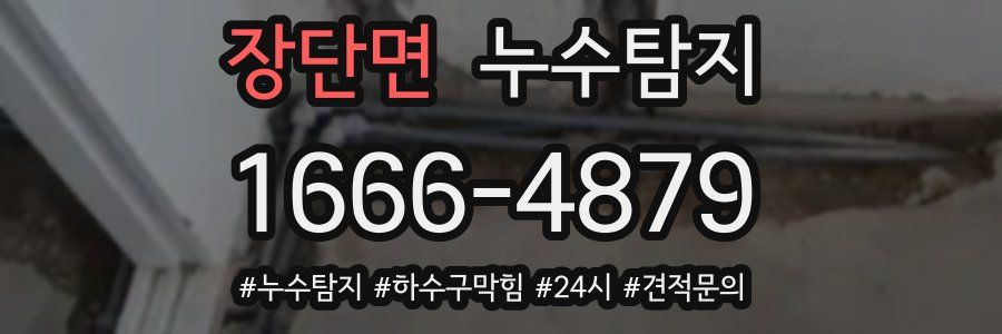 누수닥터 누수탐지