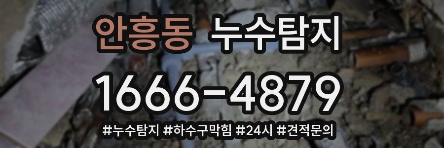 누수닥터 누수탐지