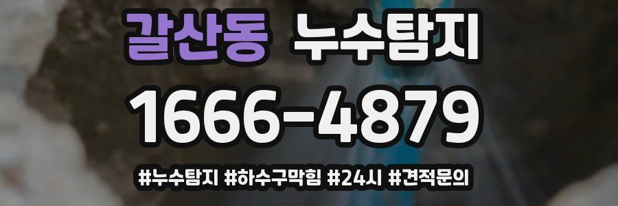 누수닥터 누수탐지