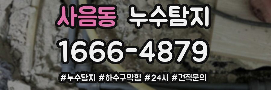 누수닥터 누수탐지