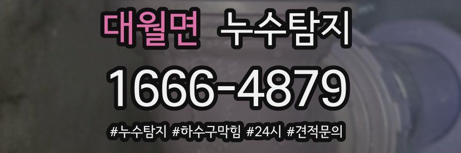 누수닥터 누수탐지