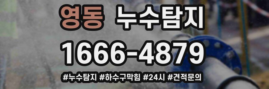 누수닥터 누수탐지