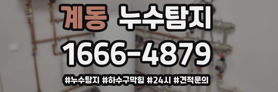 누수닥터 누수탐지