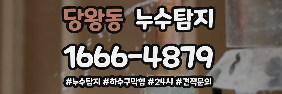 누수닥터 누수탐지