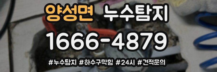 누수닥터 누수탐지