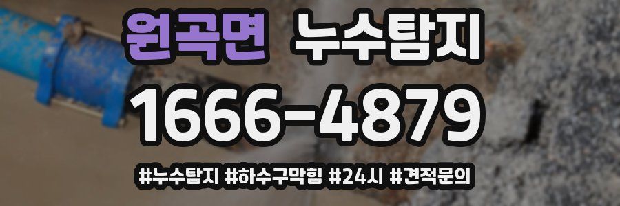 누수닥터 누수탐지