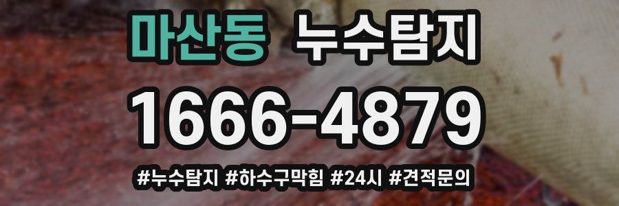 누수닥터 누수탐지