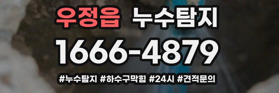 누수닥터 누수탐지