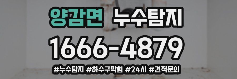 누수닥터 누수탐지